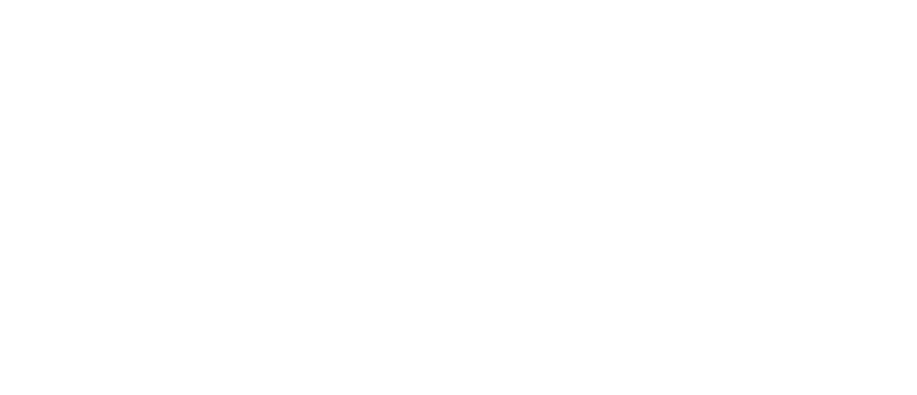 Vitória Guarizo